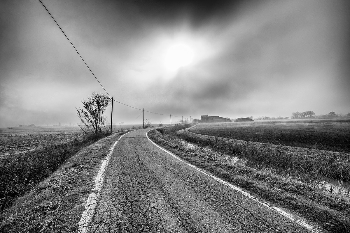 Campagna nella nebbia