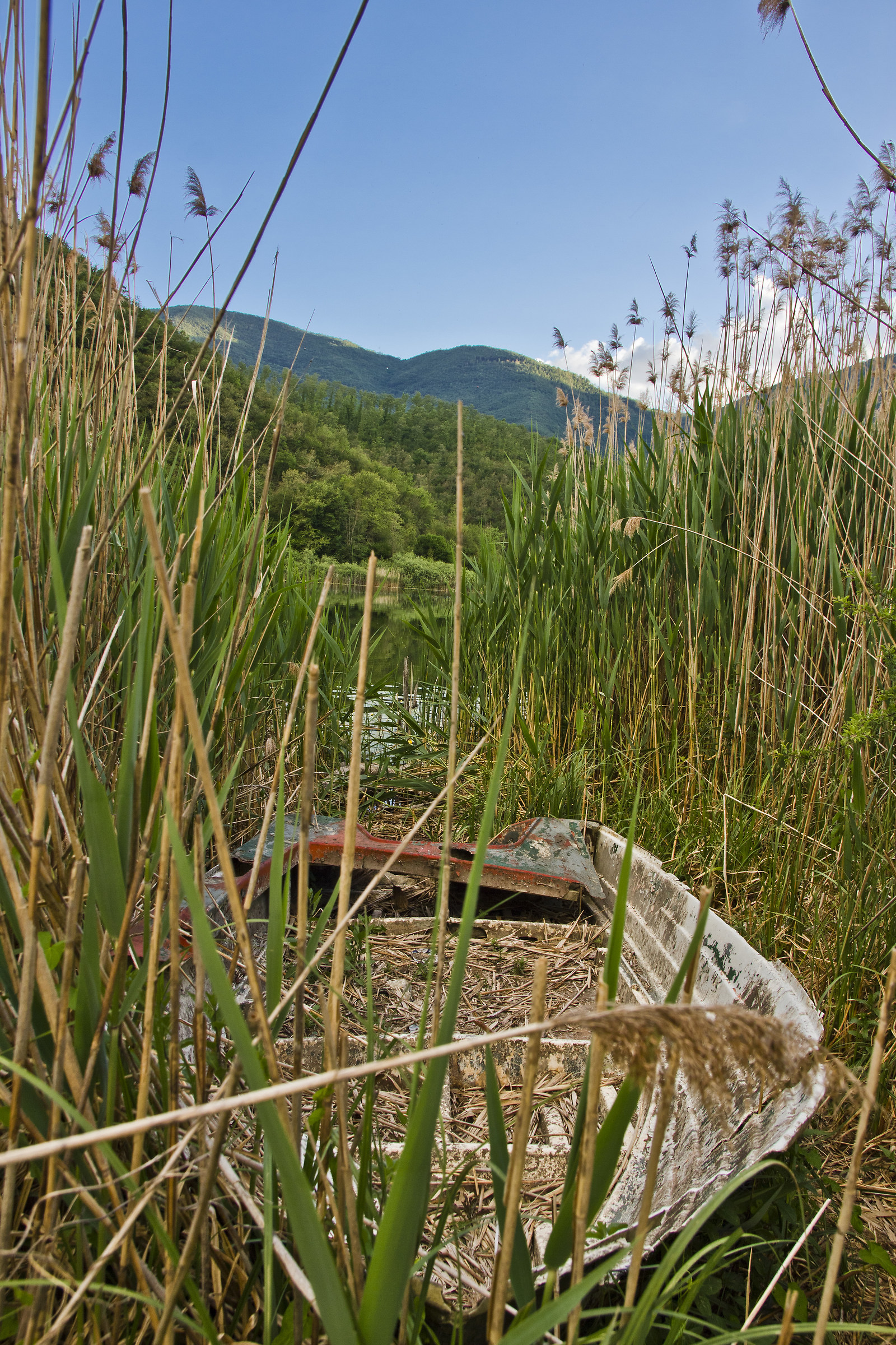 An old abandoned boat on the shore of the lake