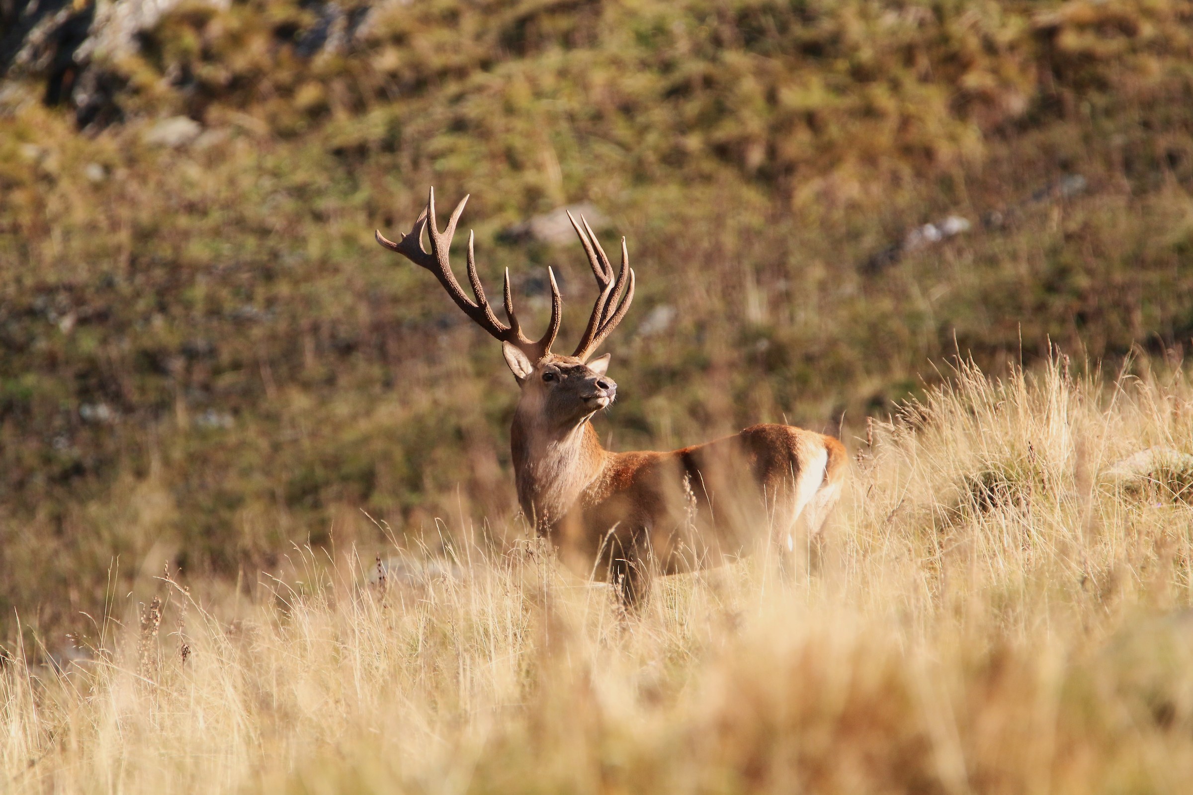There's a weird odor in the air