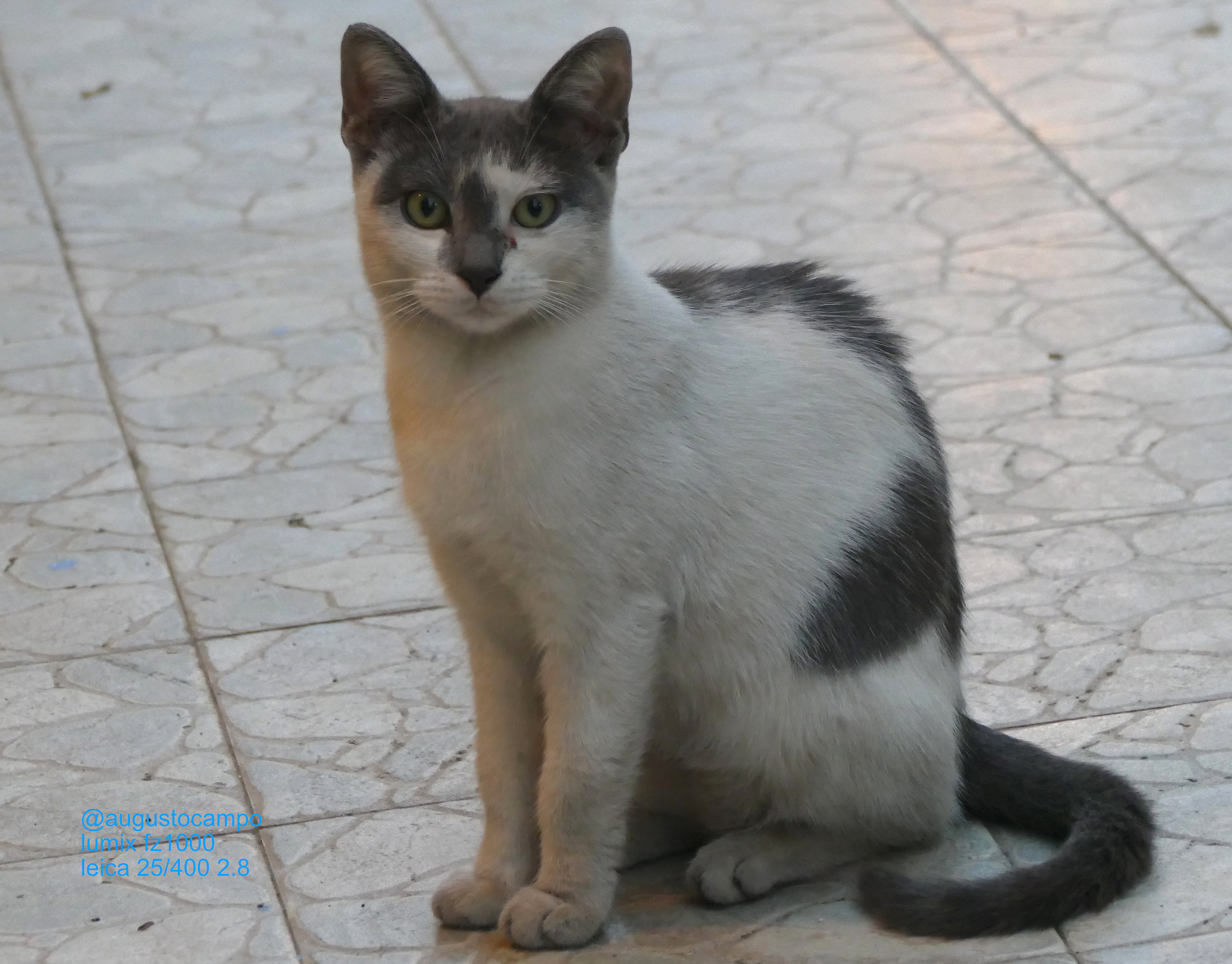 Feel the photographer ... are posing !!!!