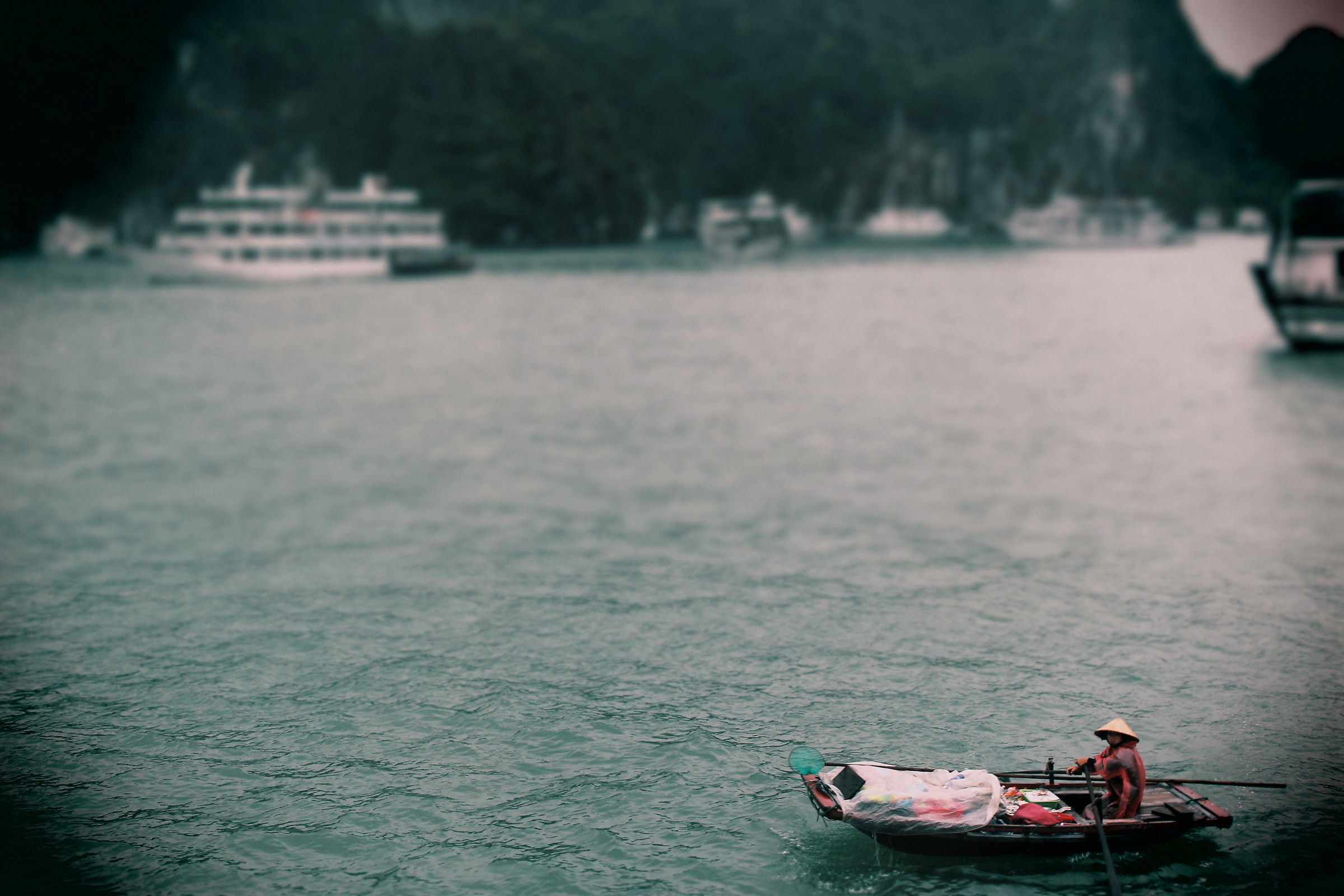 vietnam boat merchant woman