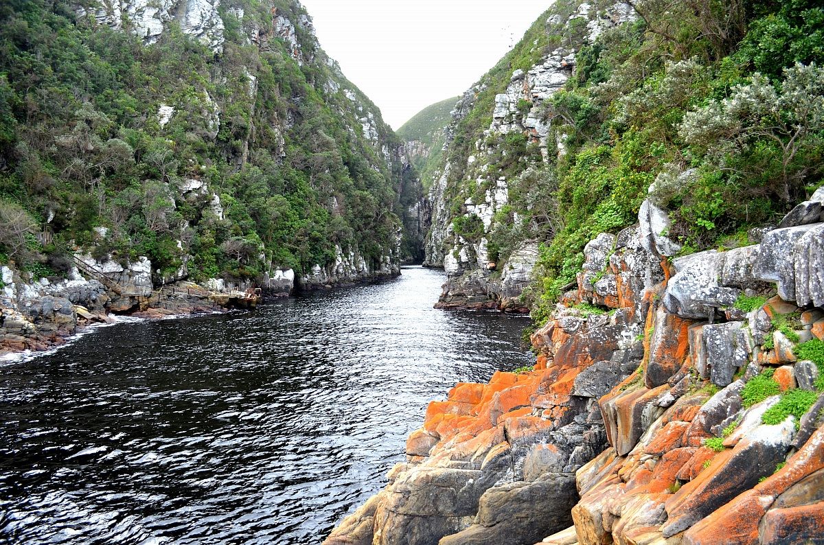 Colori allo Tsitsikamma Nature Reserve