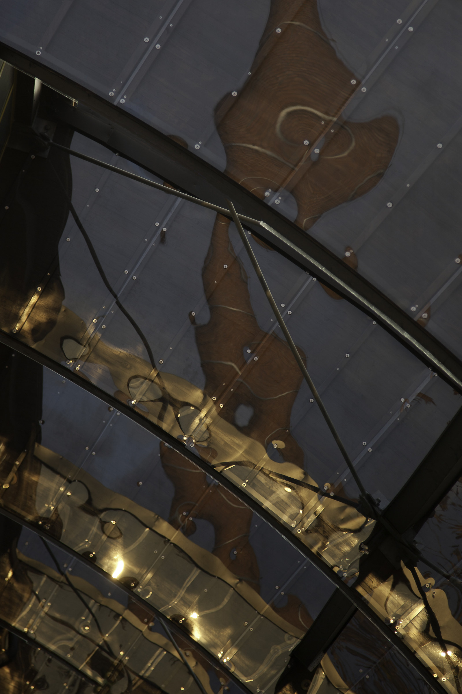 Proiezioni e dissolvenze