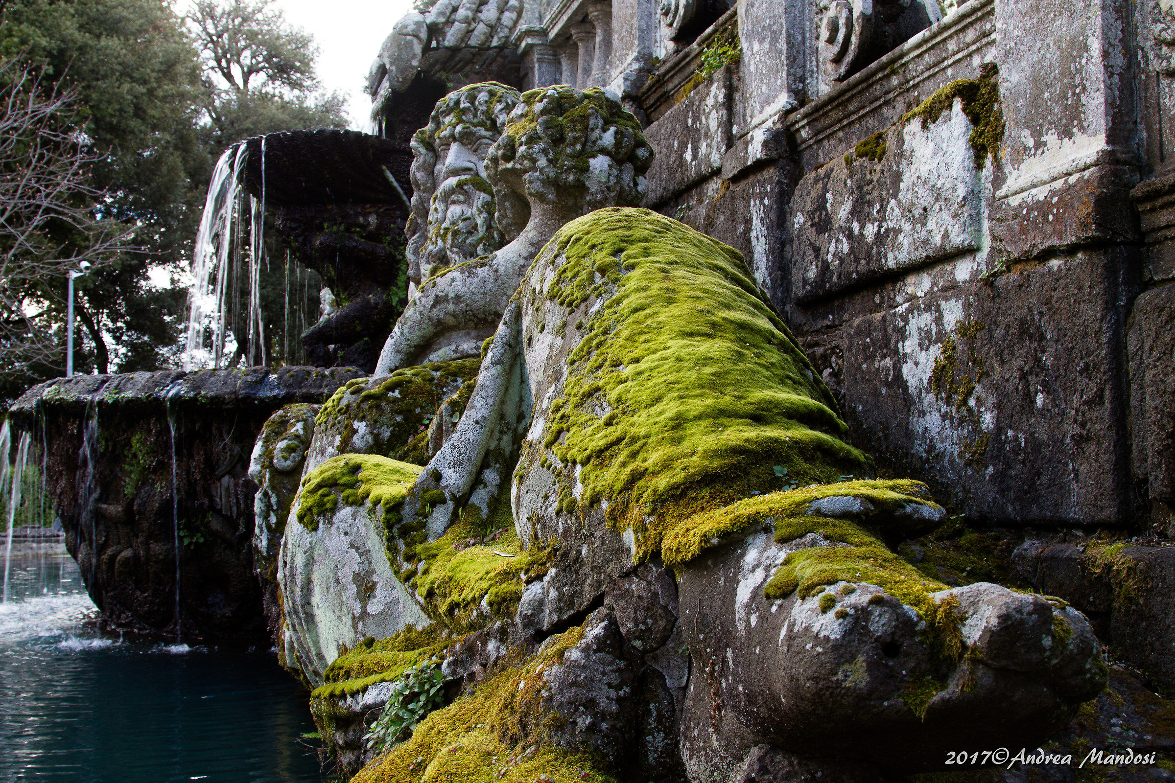 Ai piedi del guardiano muschiato