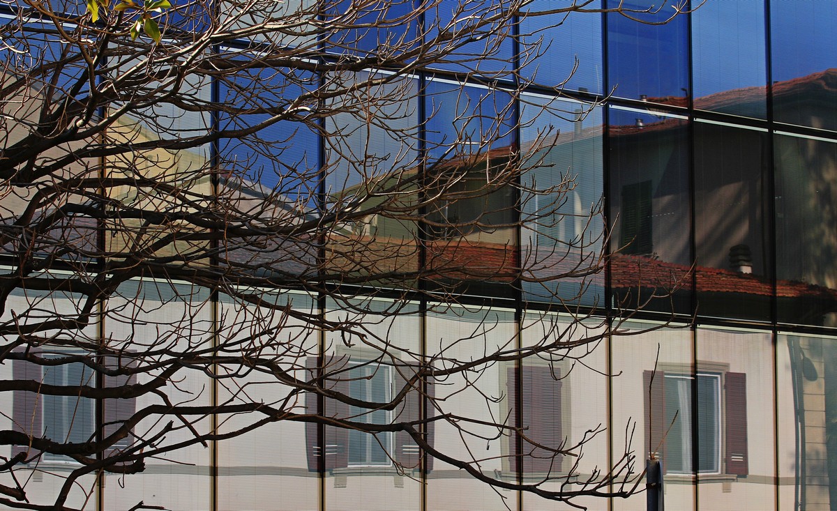 Tentacoli sul riflesso...