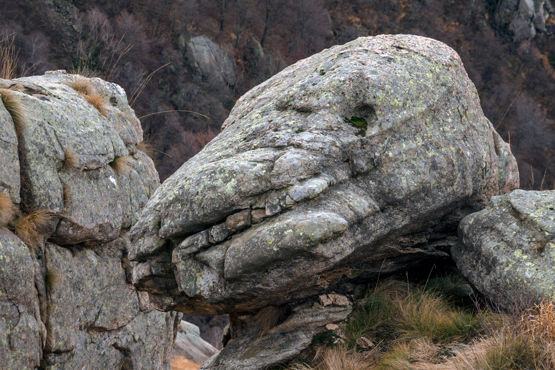 Aiuto, ho perso la testa