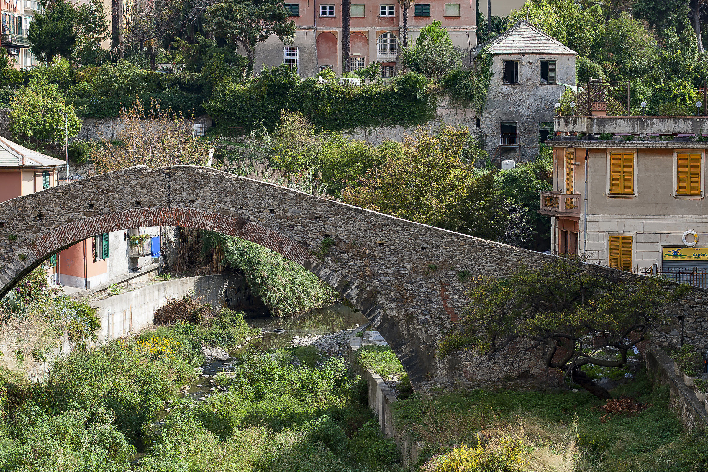ponte romano con Maxibonsai