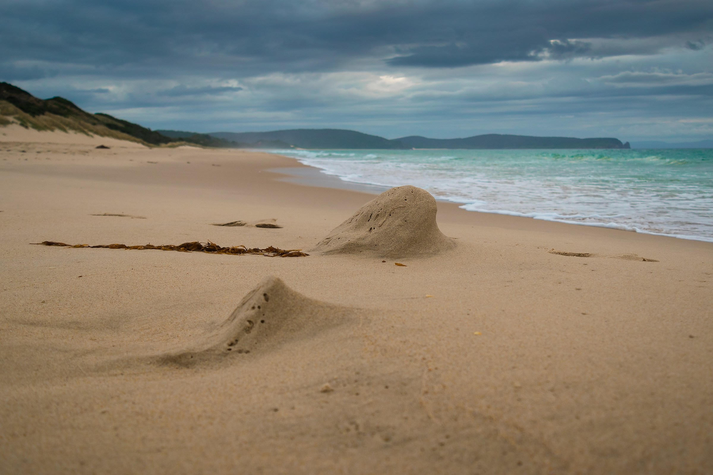 Spiaggia di Adventure Bay, Tasmania