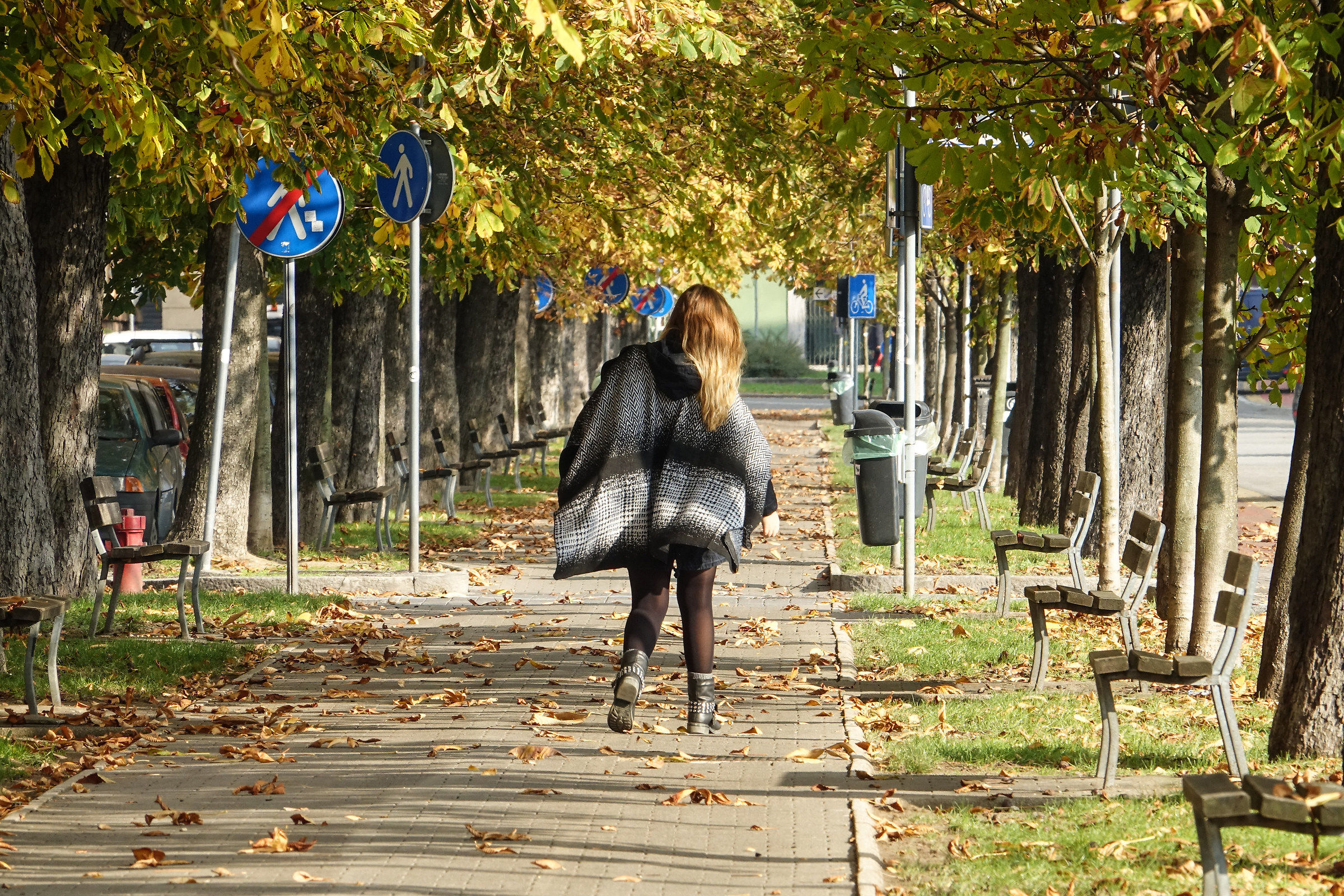 viale d'autunno