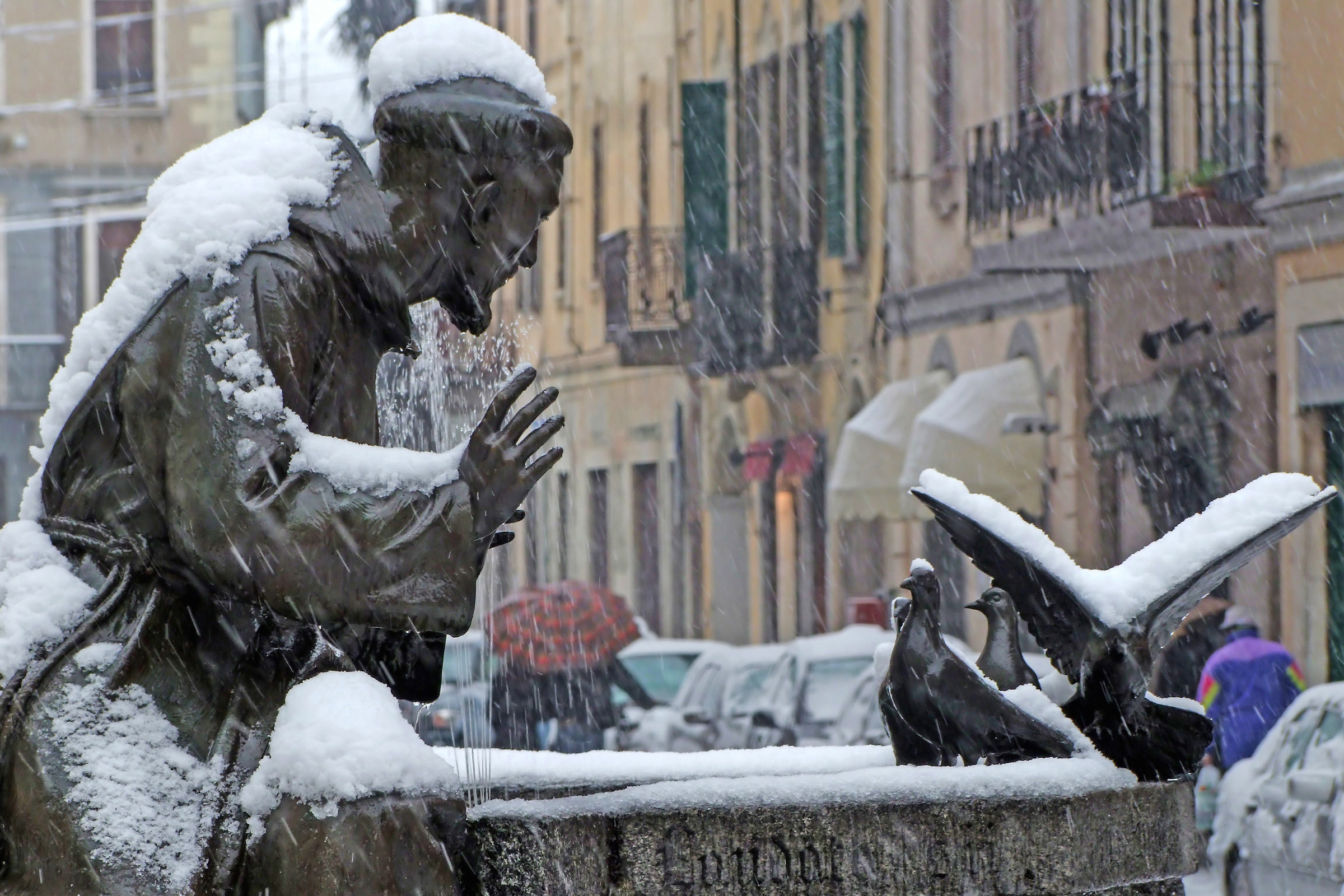 s.francesco vigevano