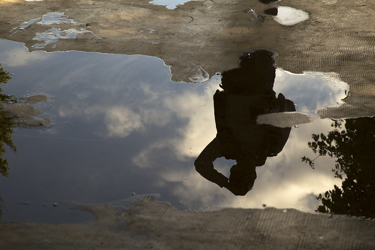 With its head in the clouds