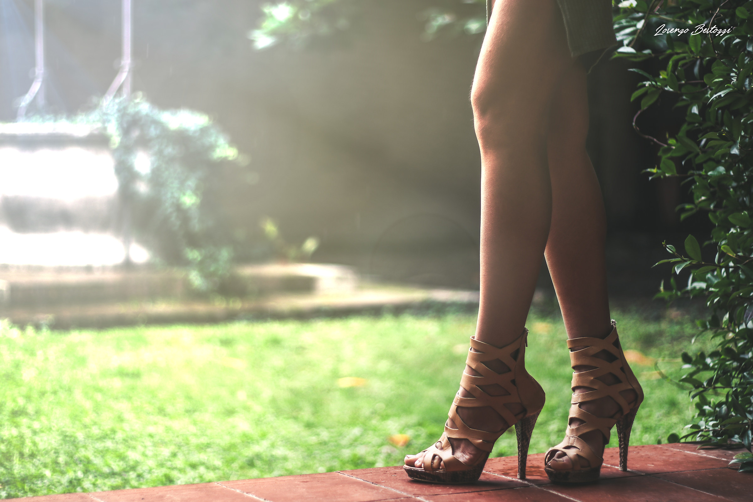 Legs