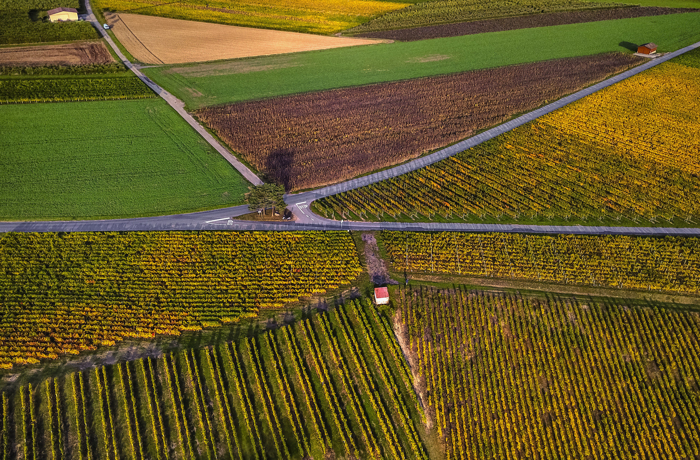 Drone photo - Fields overlook