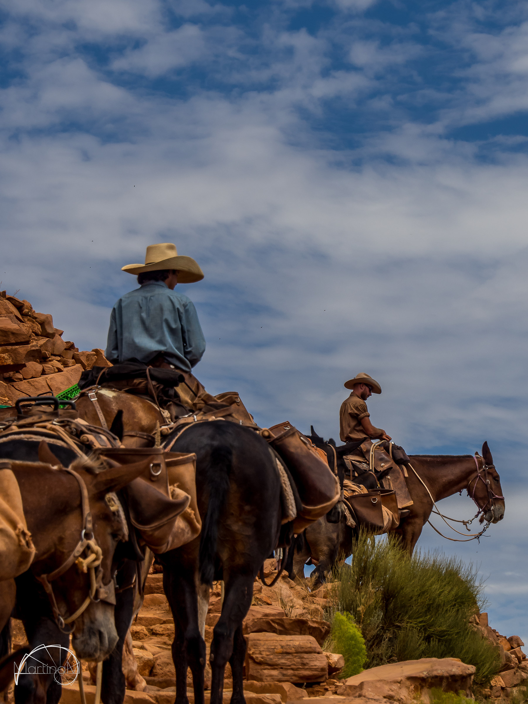 Cowboy on the Kaibab Trail - Grand Canyon
