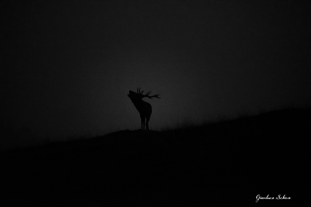 At the edge of darkness