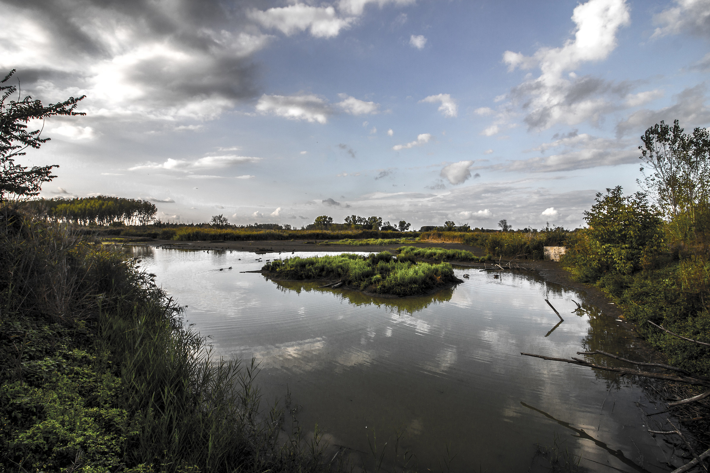 Views of savannah at the natural reserve of Manzolino
