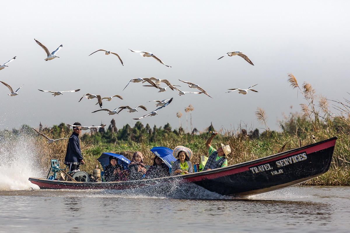 No Travel Services ?? Ahi Ahi.
