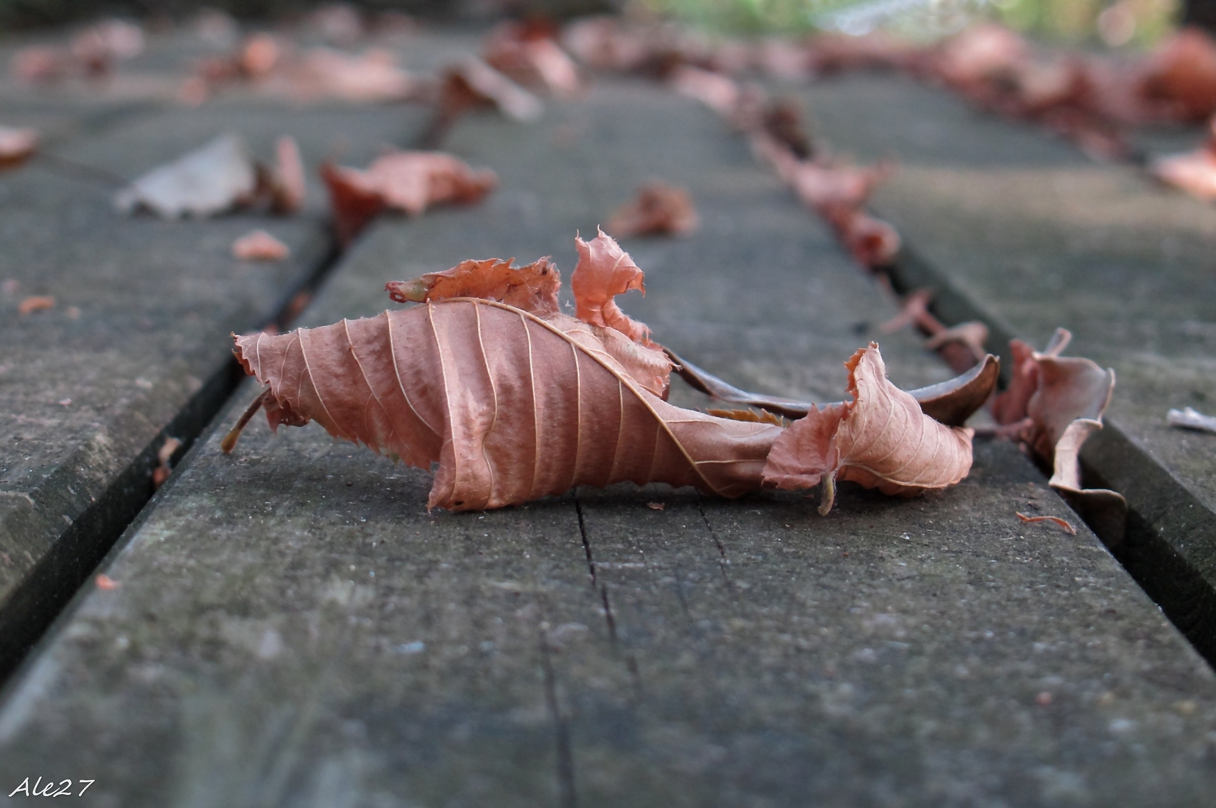 ... waiting for a breeze of wind ...