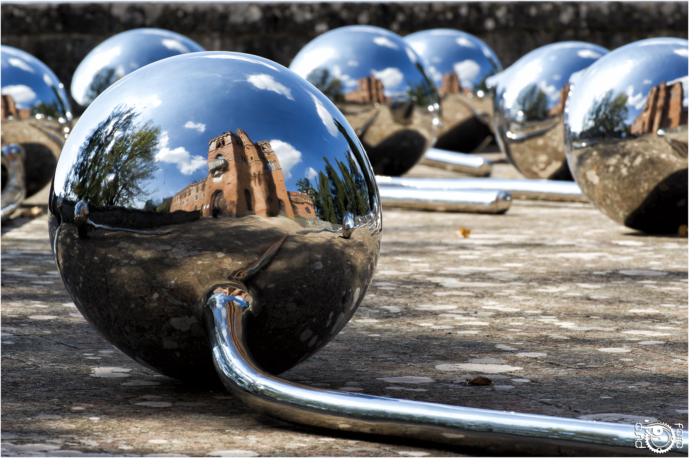 Riflessi dentro un fiore di loto