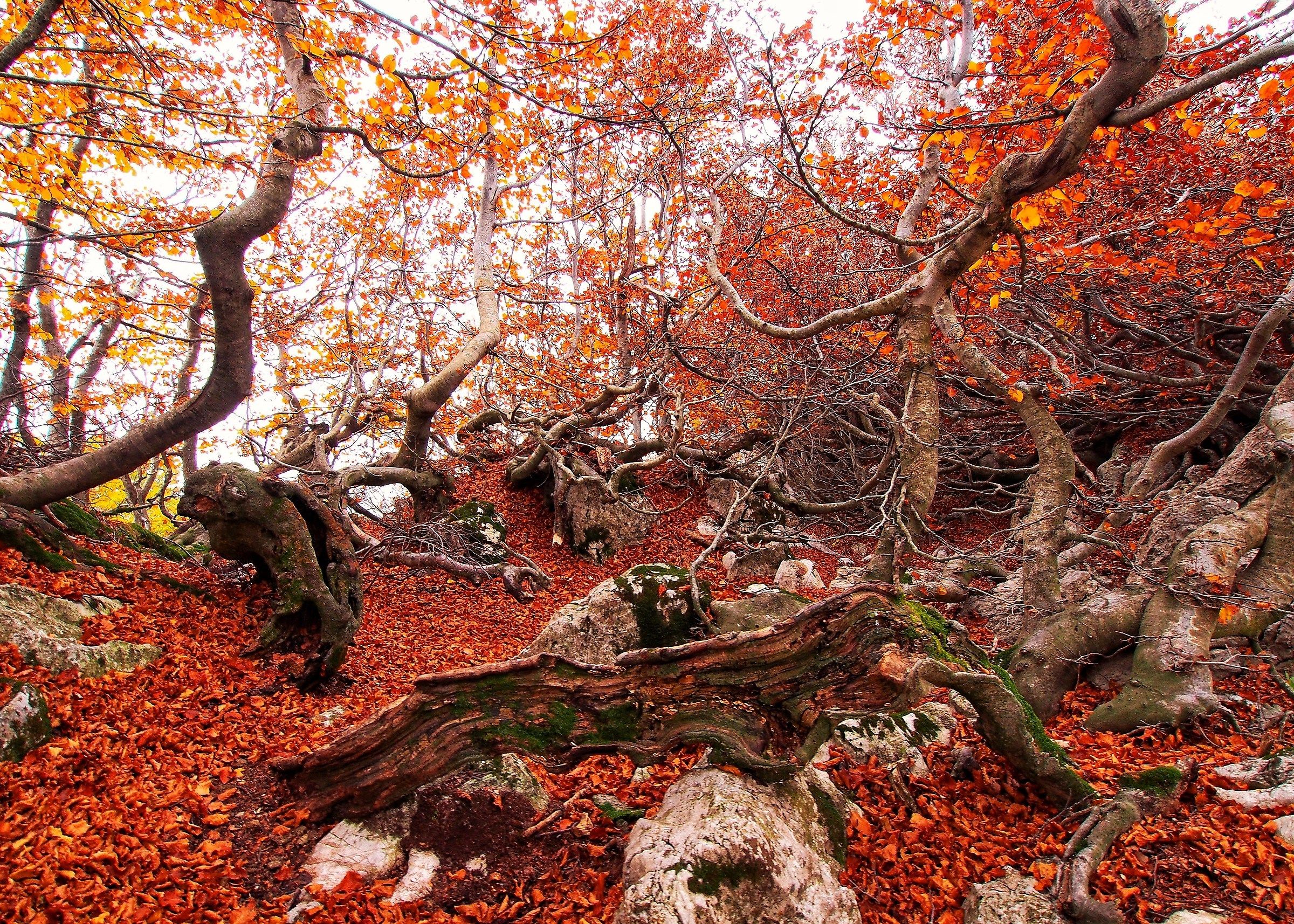 A misterious angle of mountain.