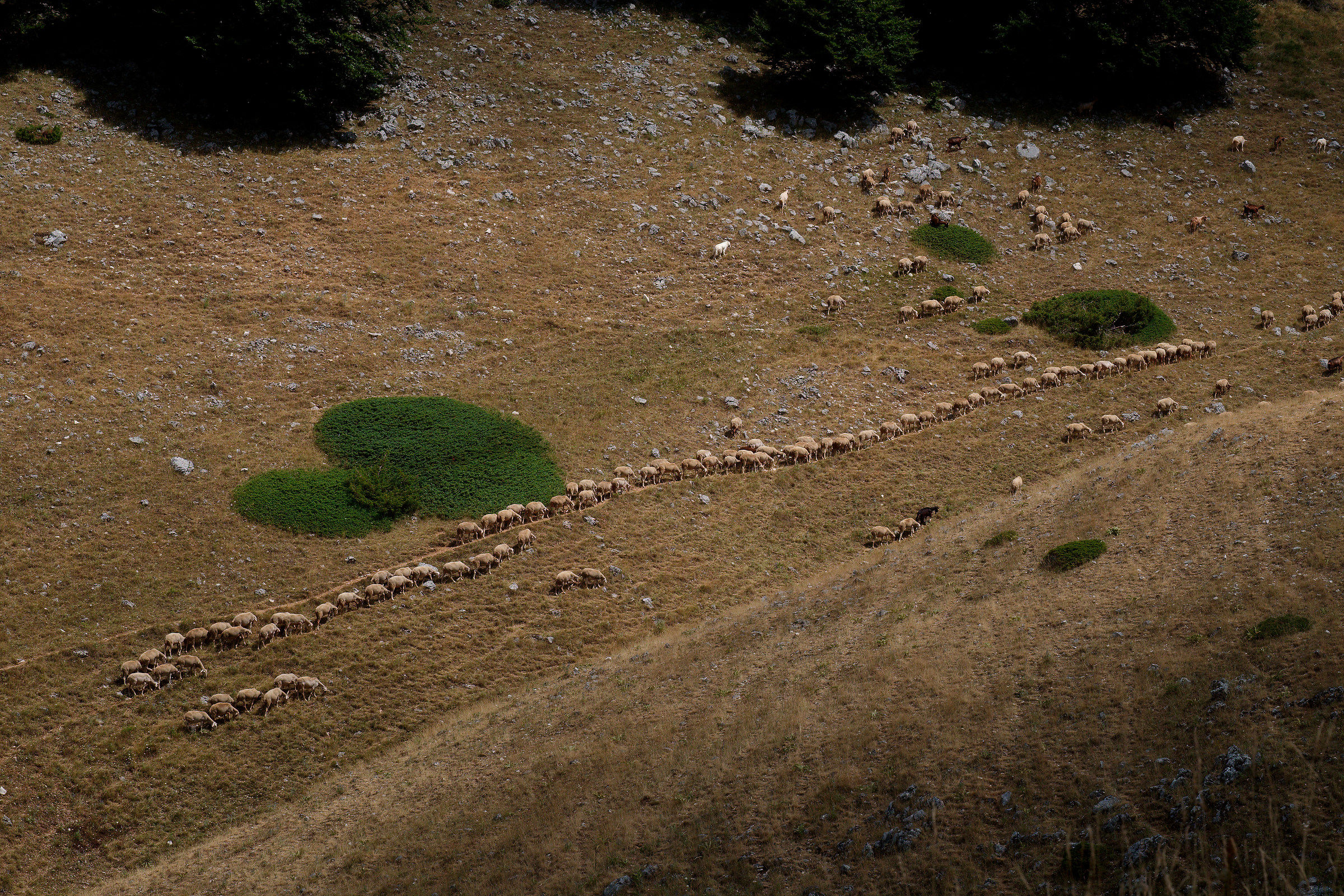 Il ritmo della montagna