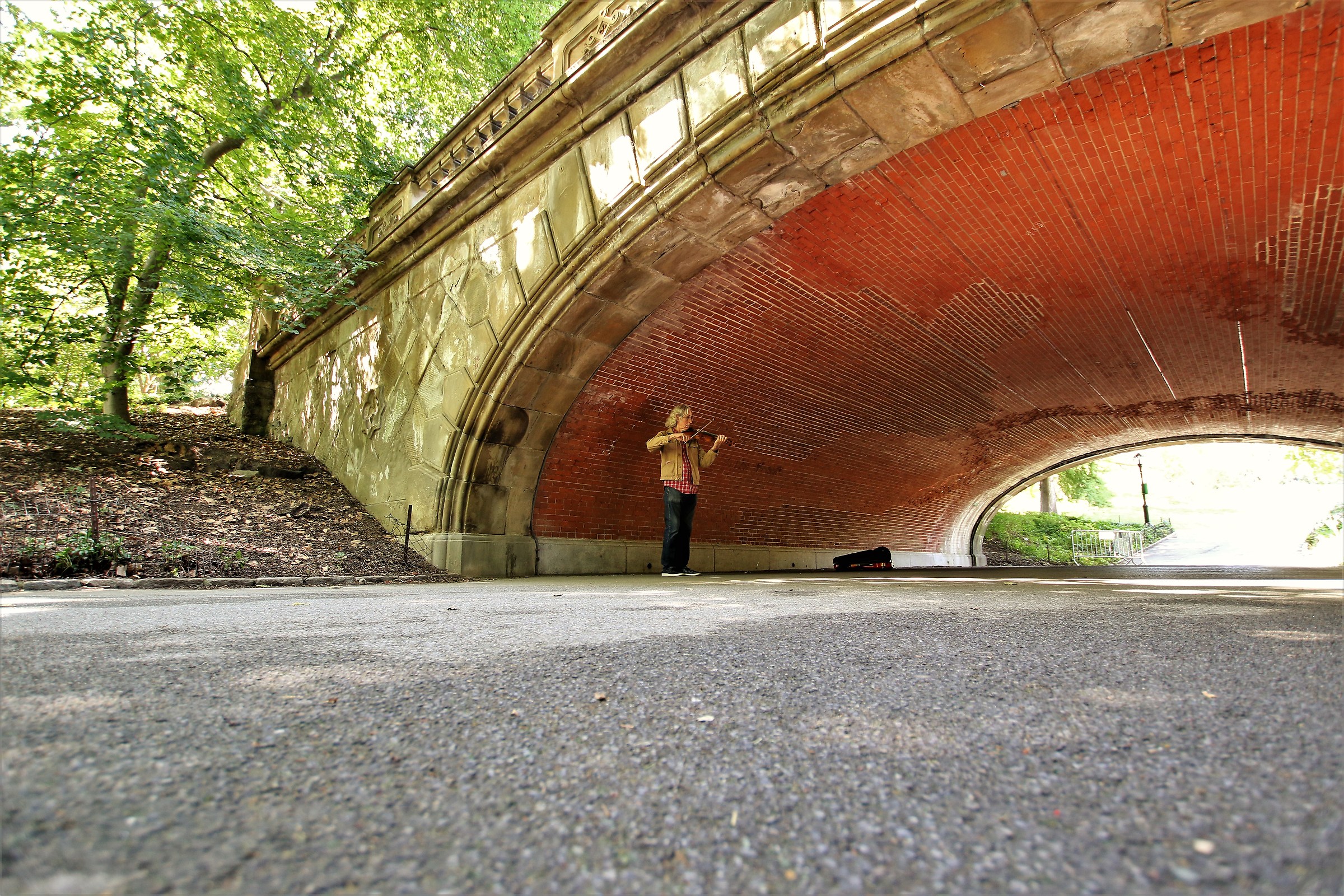 Bach is the silence of Central Park