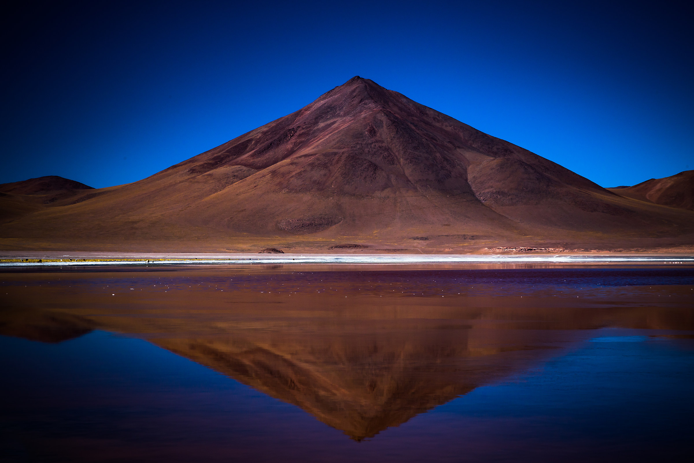 Laguna Colorada