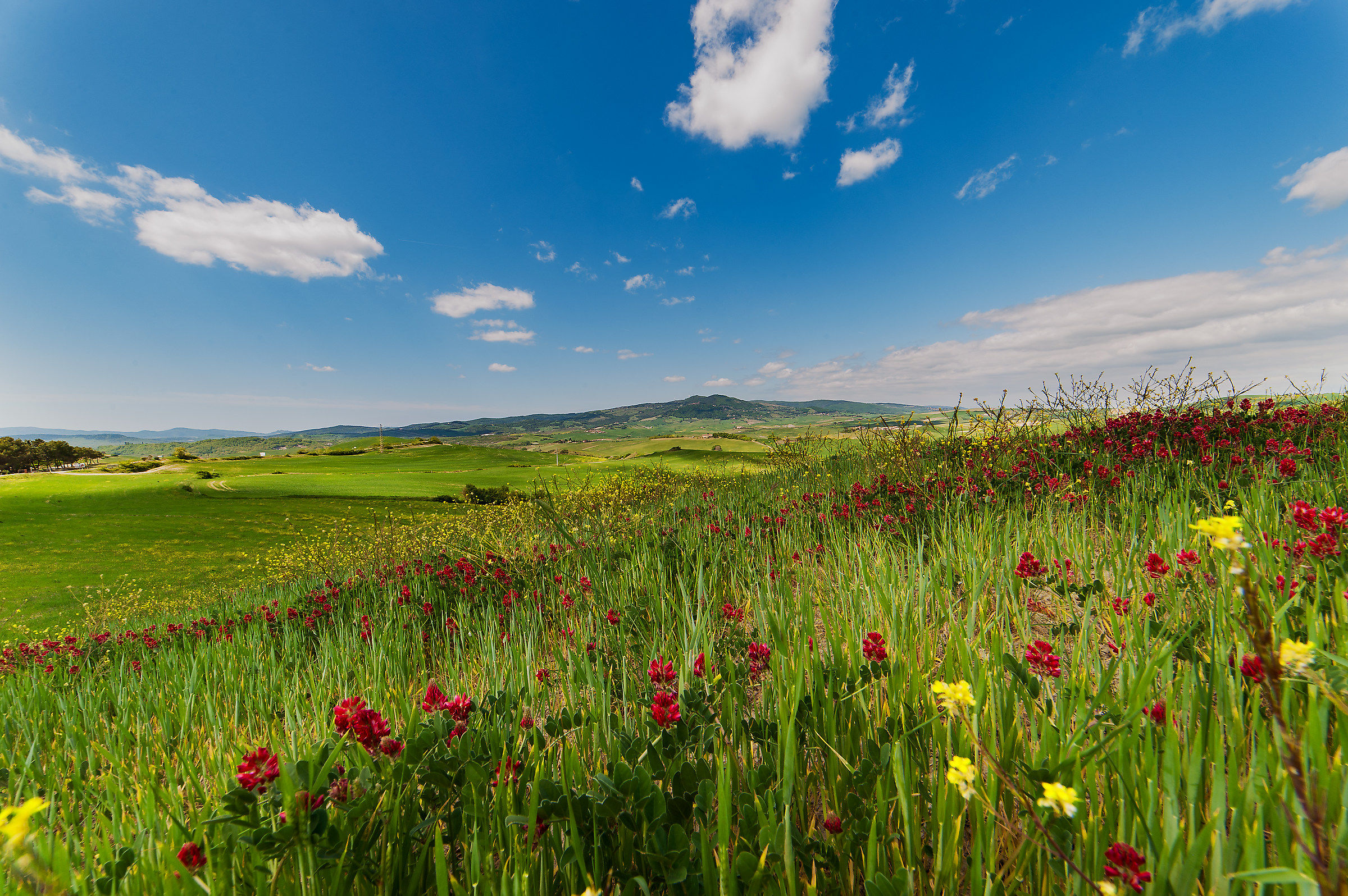 Saline of Volterra