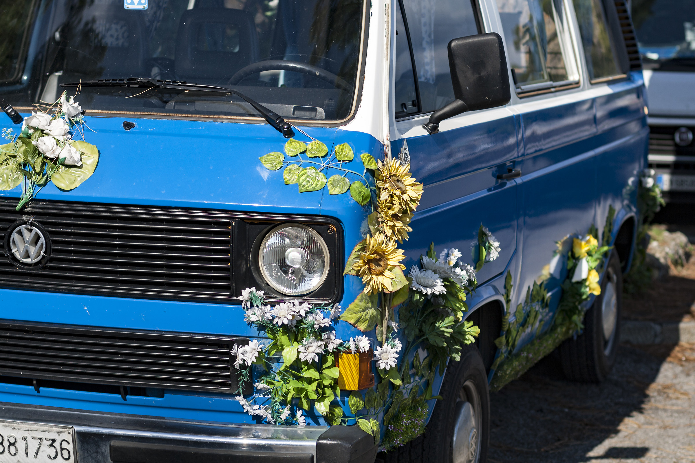 Children of flowers (ex)