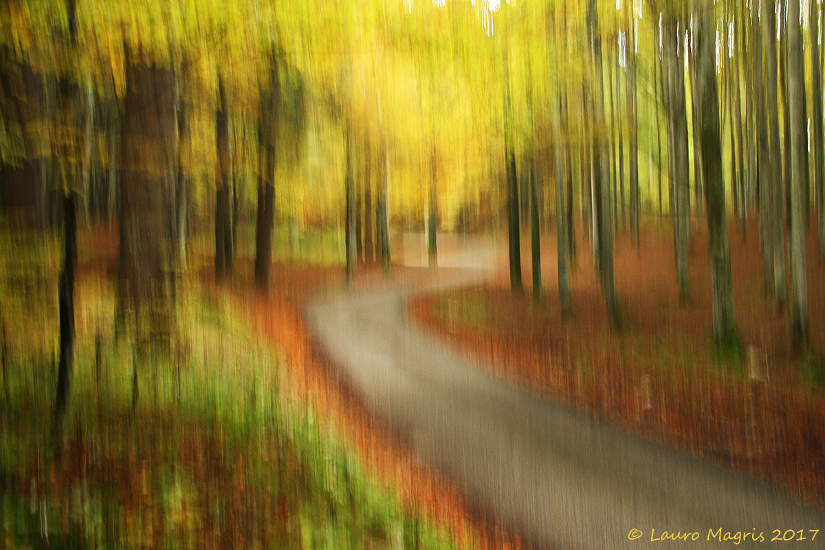 Impressioni autunnali (mosso creativo)