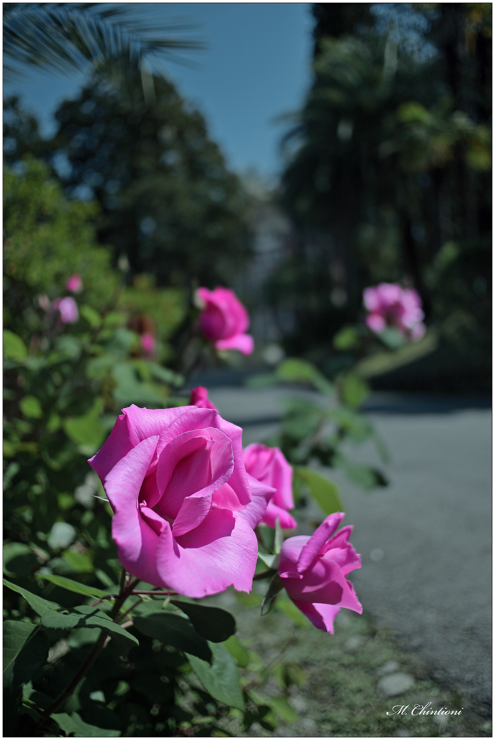 park of Villa Durazzo-S. Margherita Ligure