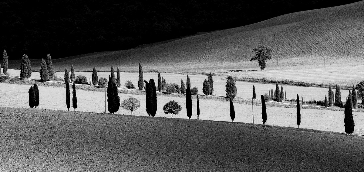 Luci e ombre nelle crete..