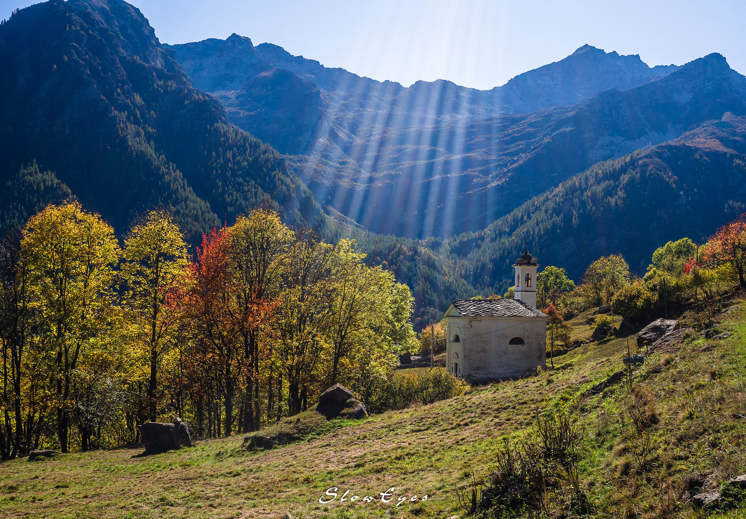 who, you see ... the fall.