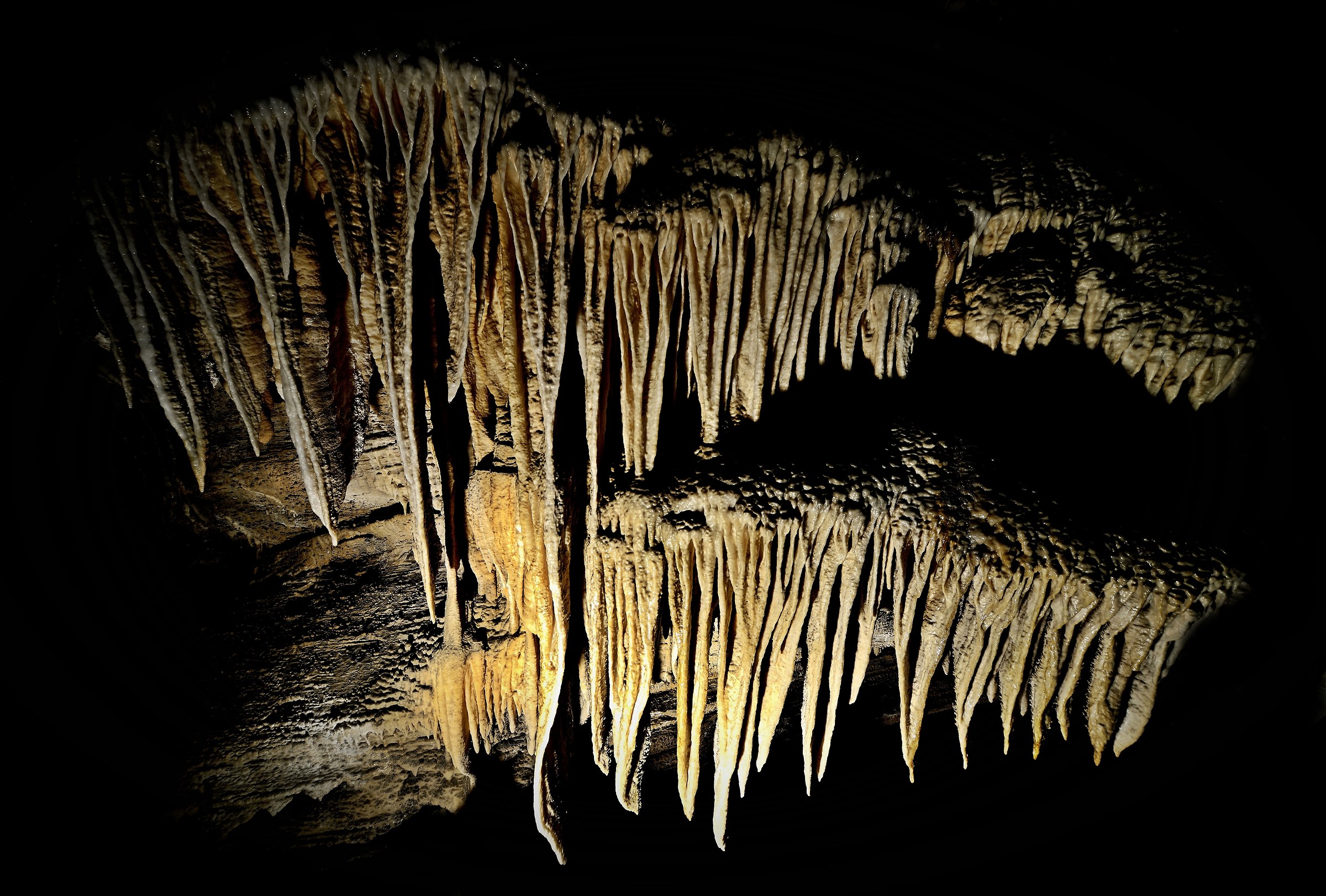 Concretions Monstrous