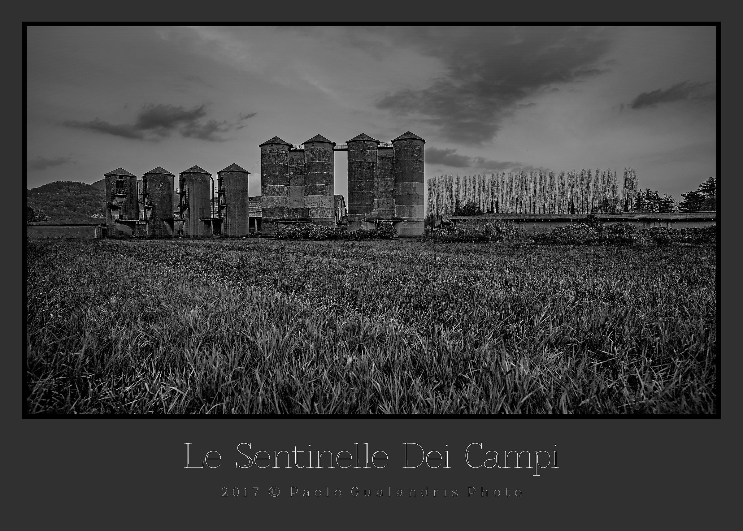 Le Sentinelle Dei Campi