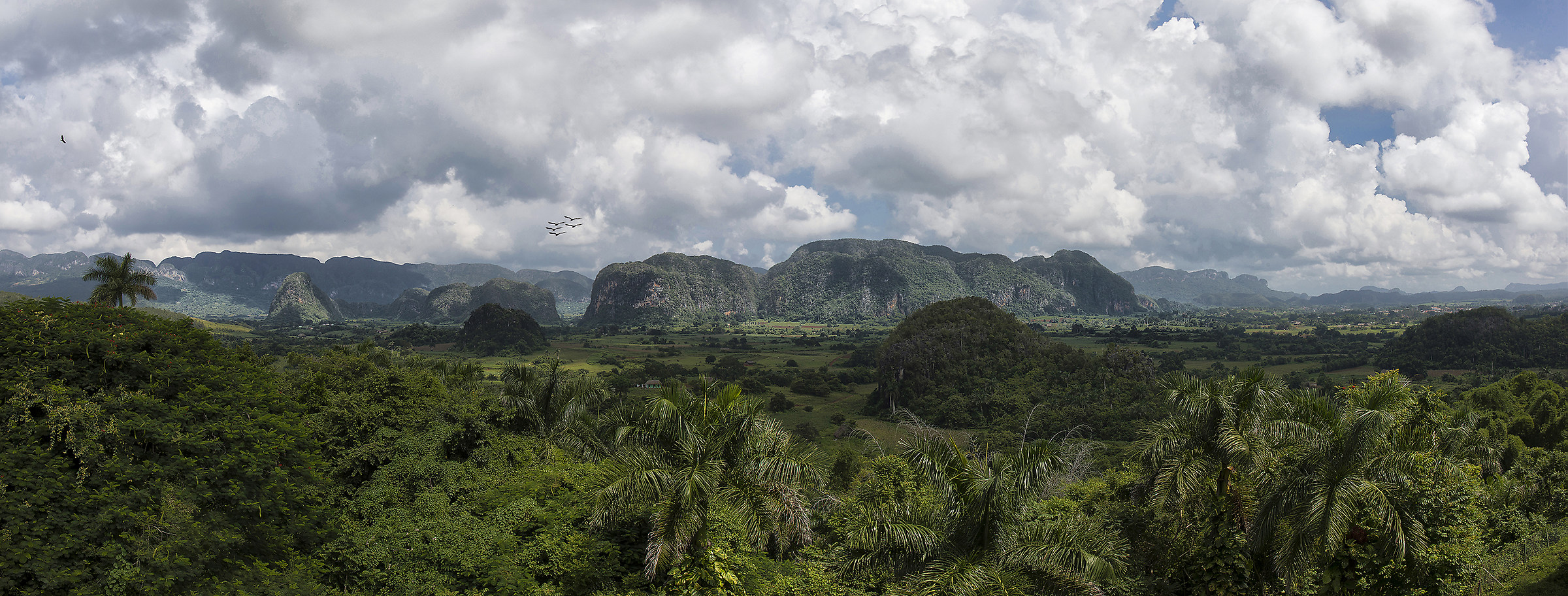 Viñales = green