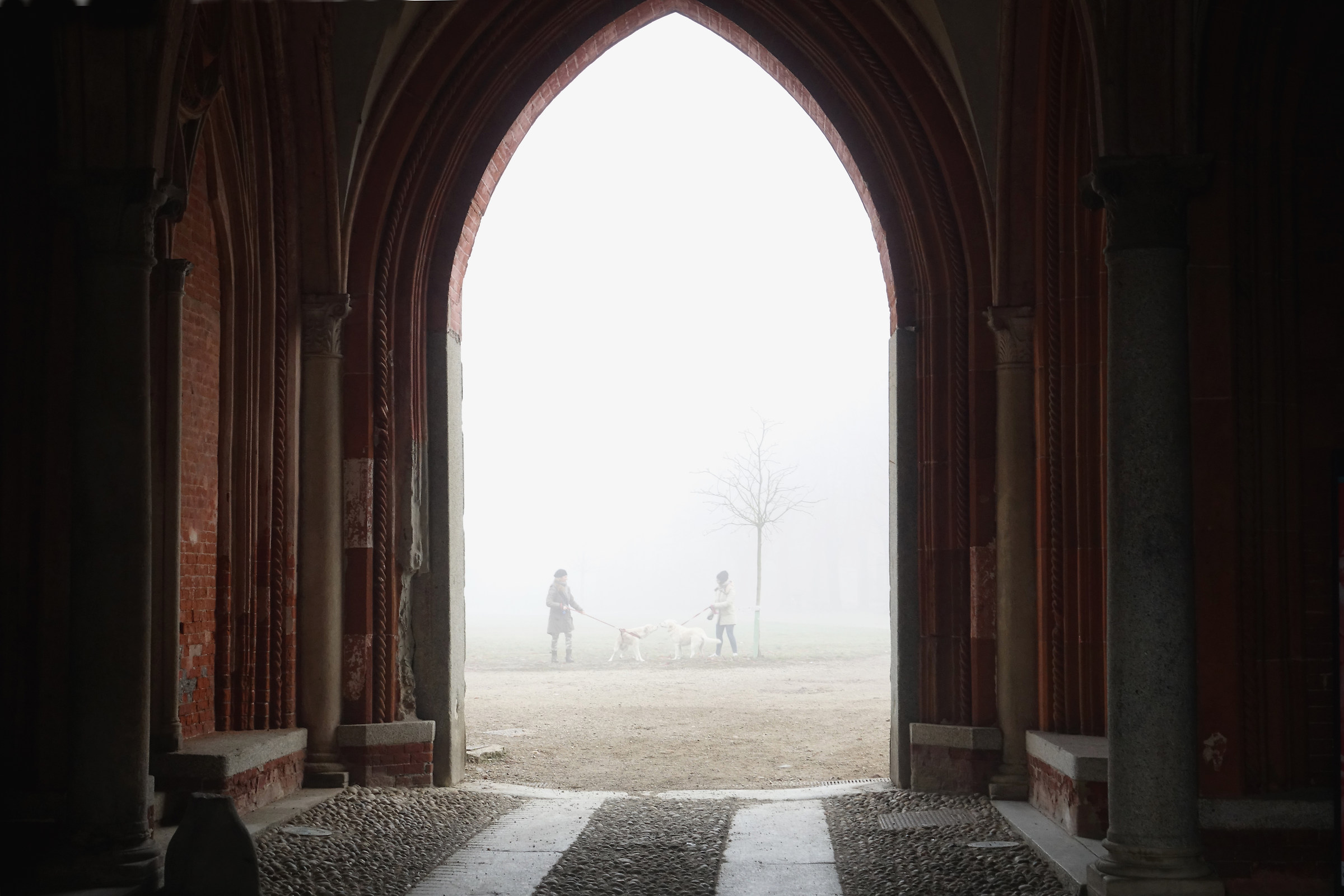 nebbia-Castello Vigevano