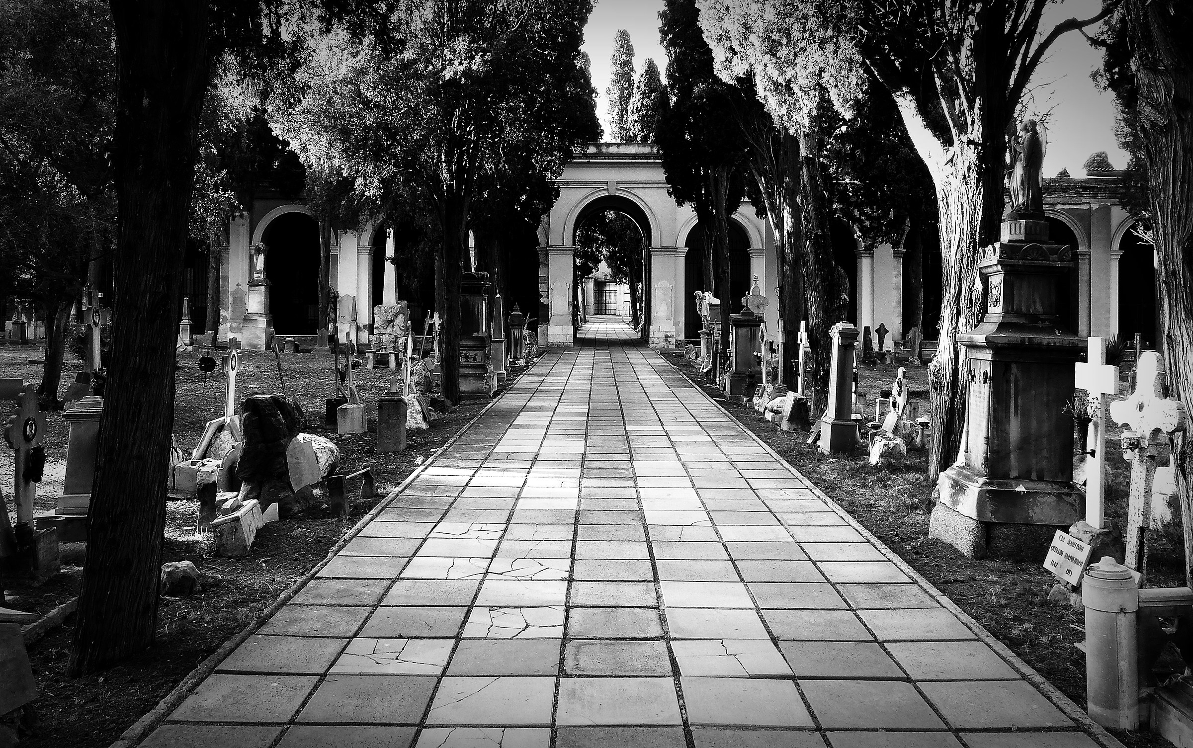 un attimo della convulsa esistenza, per ricordare