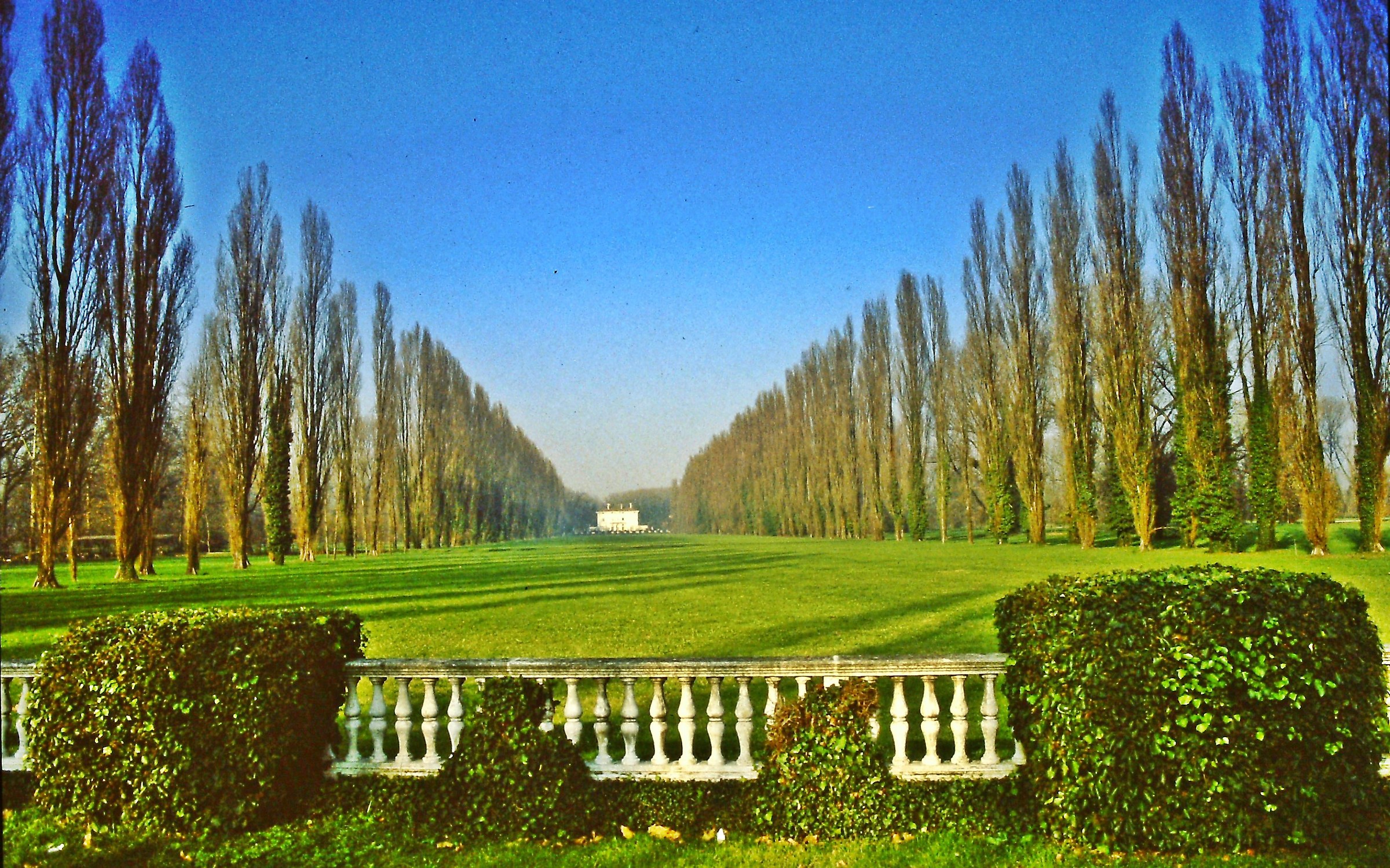 478 - il viale del trionfo nobiliare - MI Rodano