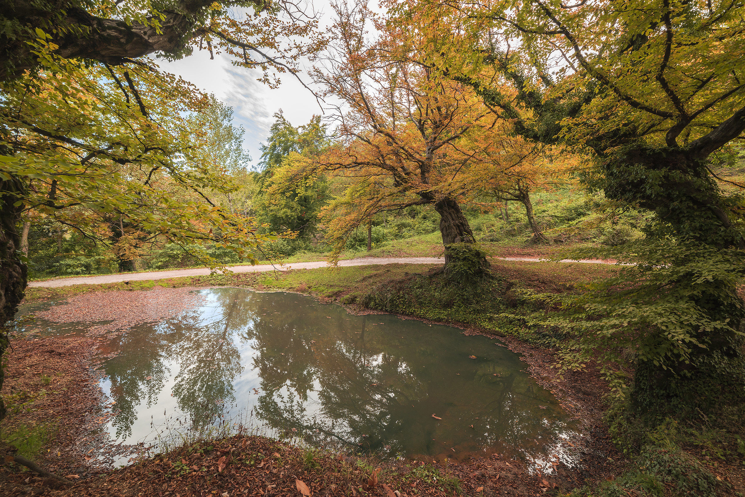 On the street of the astronomical observatory