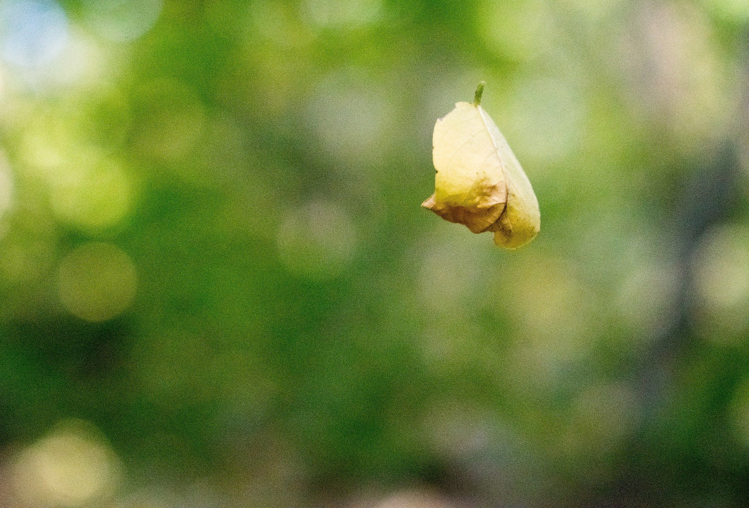 Hanging on a spinning wire