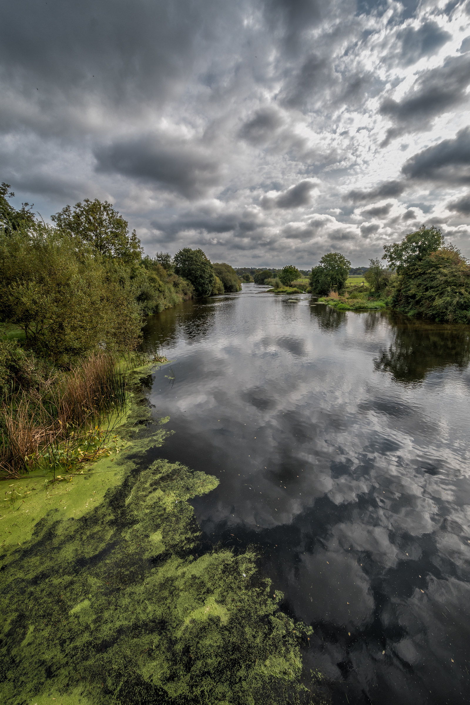 Grigi E Verdi Sul Fiume