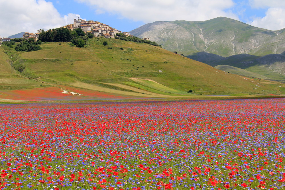 Castelluccio
