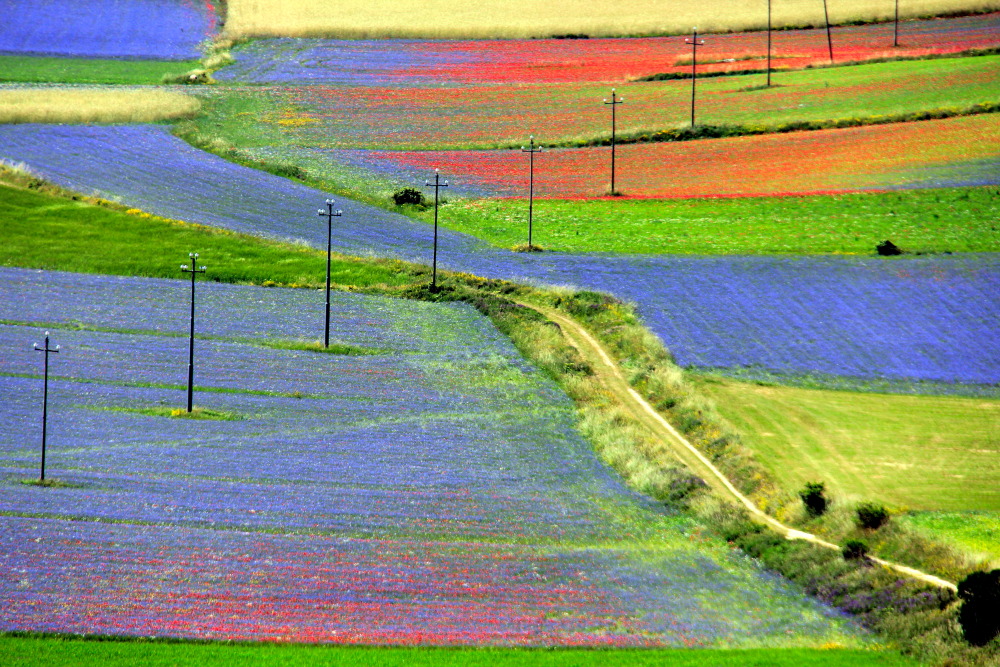 Castelluccio