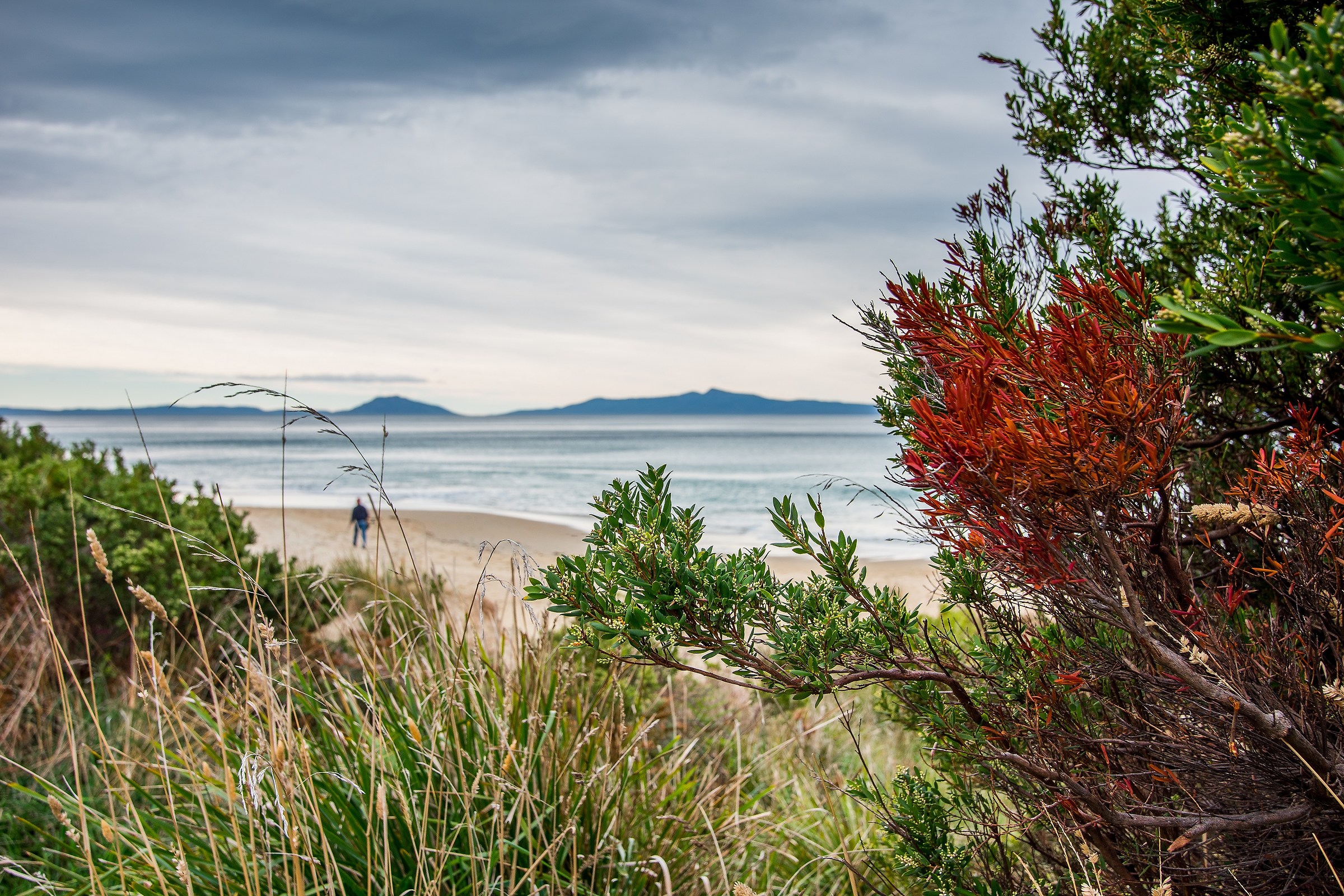 Mayfield Bay, Tasmania