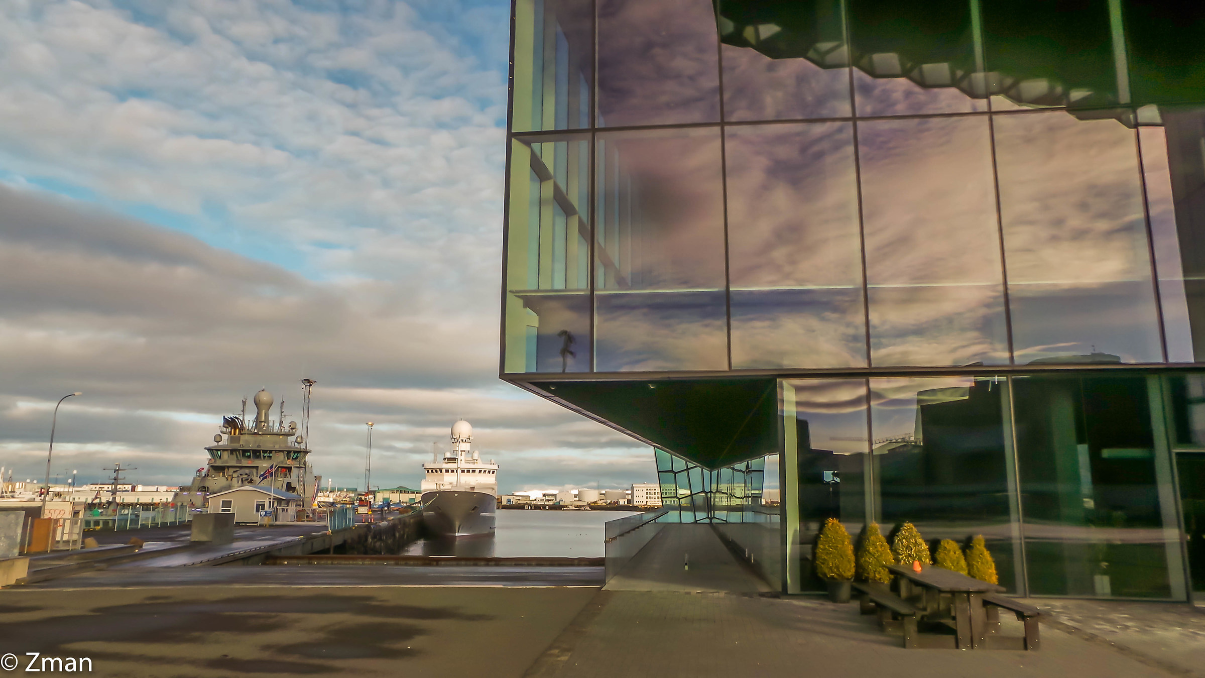 Harpa