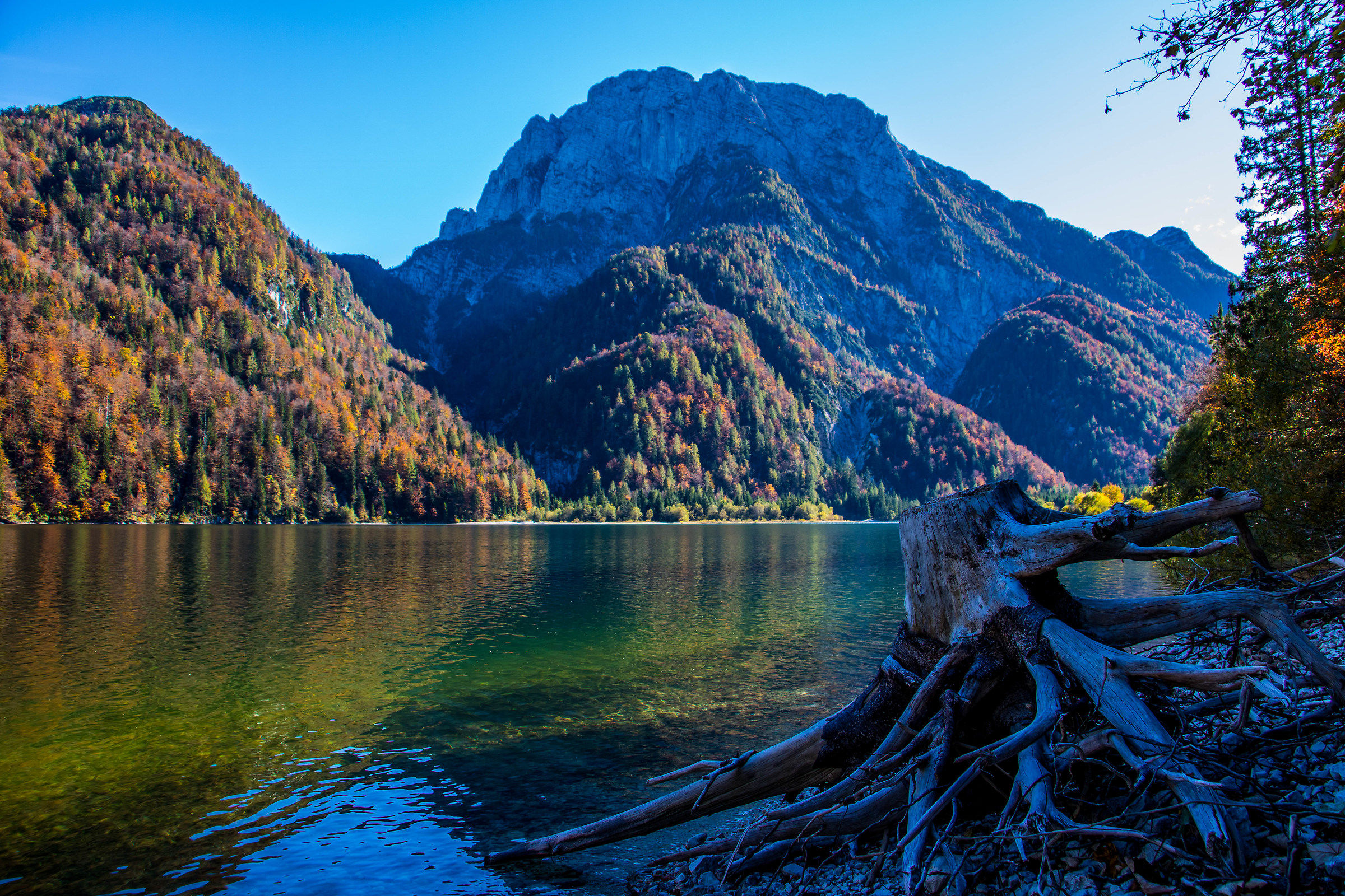 Waiting for the winter.