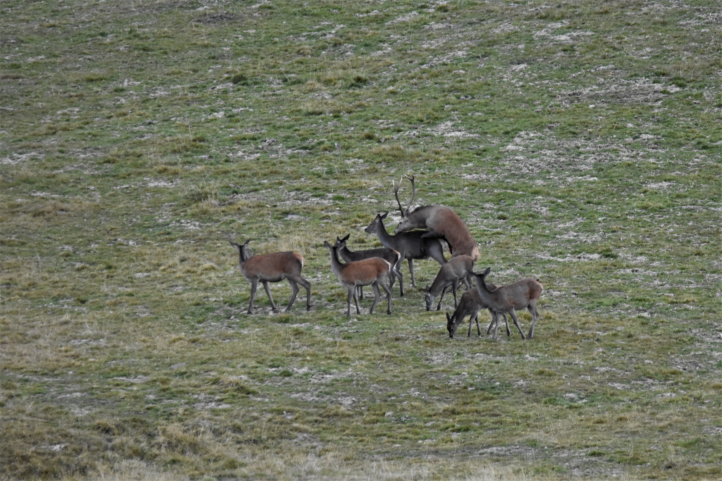 The reward of so much effort