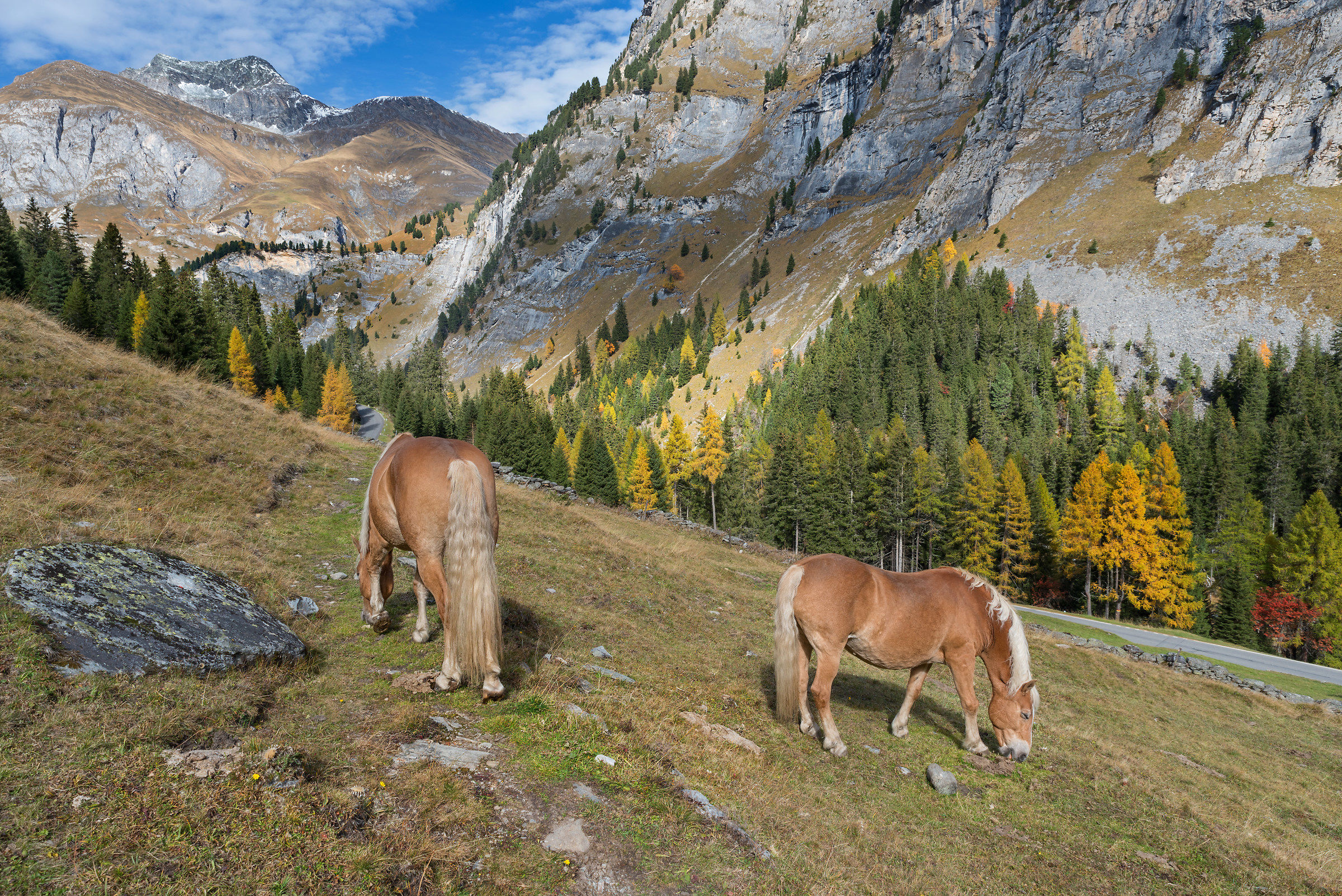 Autumn in Val d'Avers