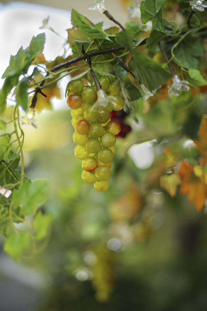 Metropolitan Grape 2